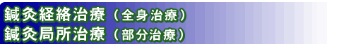 鍼灸経絡施術 (全身施術)、鍼灸局所施術 (部分施術)