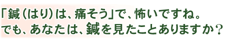 「鍼（はり）は、痛そう」だし、怖いですね。 あなたは、鍼（はり）を見たことありますか？
